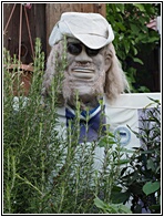 Scarecrow