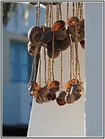 Snails
