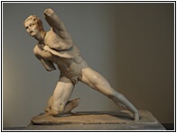 Fighting Gaul