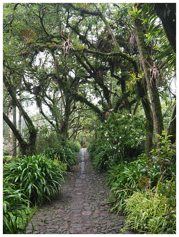 Jardines