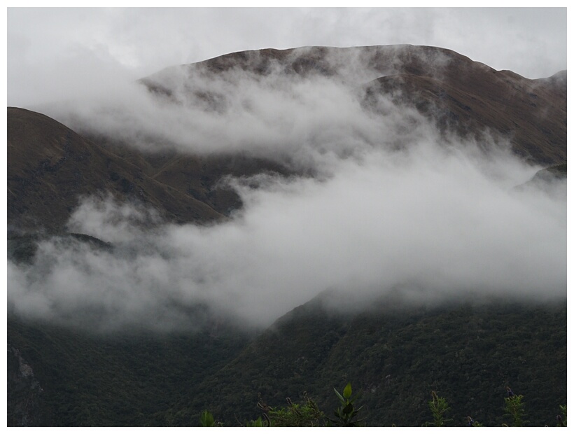 Nubes