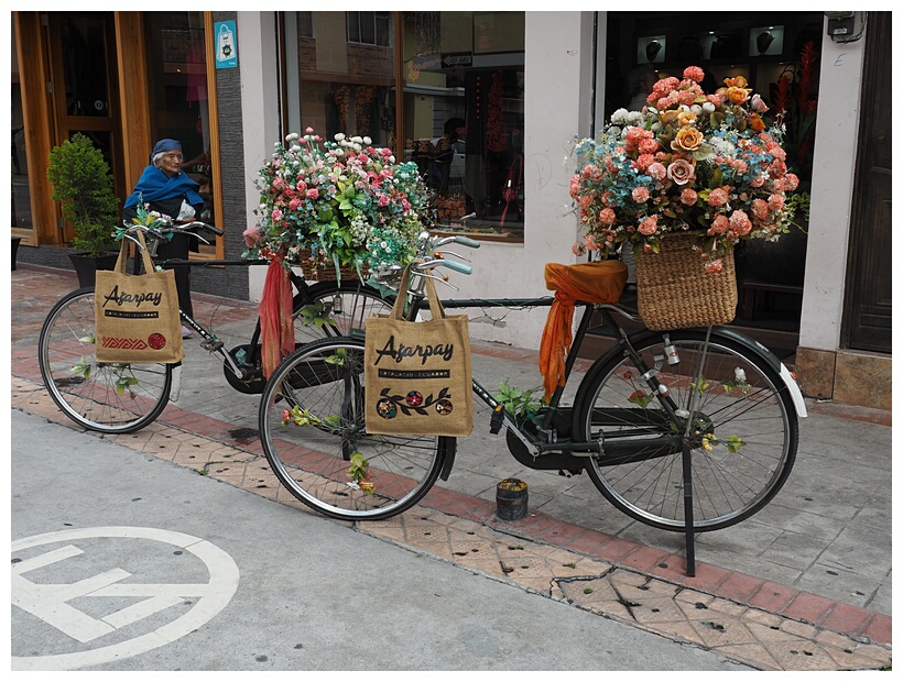 Bicicletas