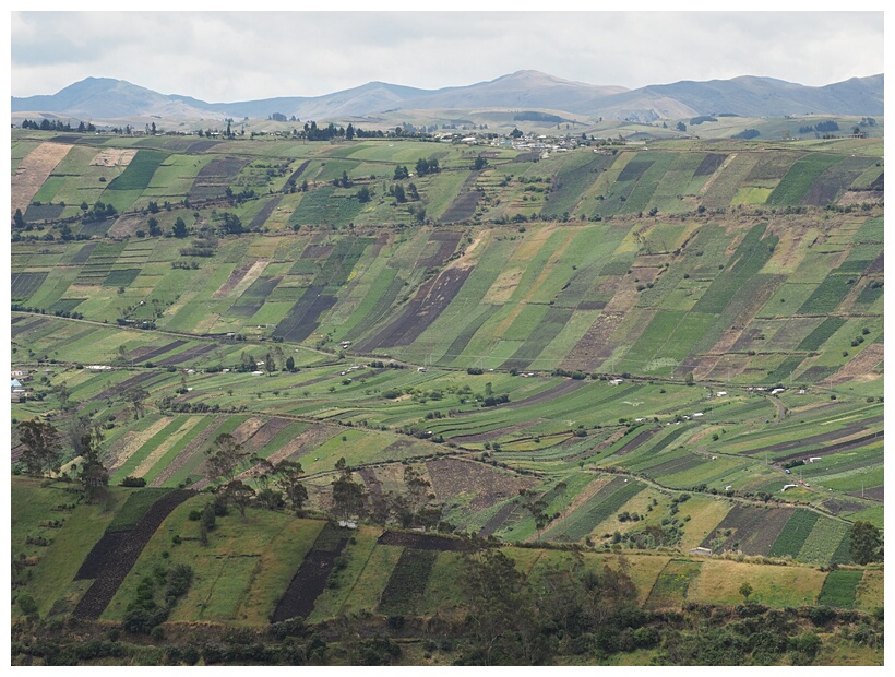 Campo Ecuatoriano