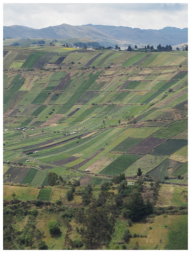 Paisaje Ecuatoriano