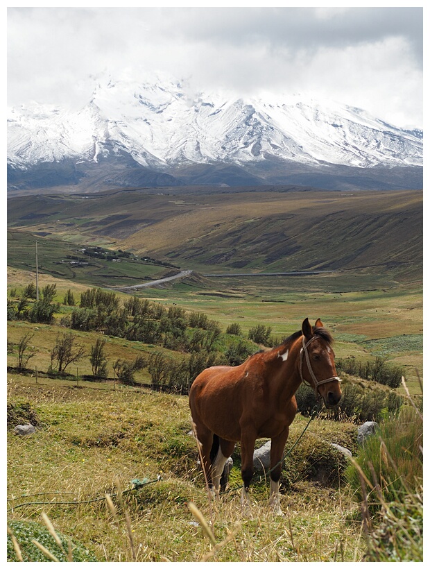 Volcn Chimborazo