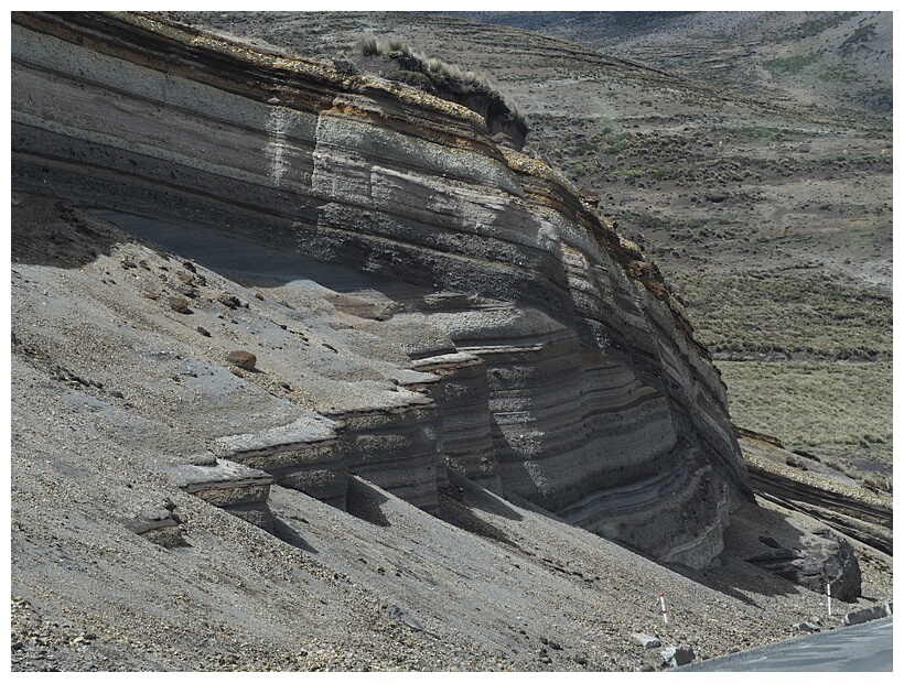 Geologa