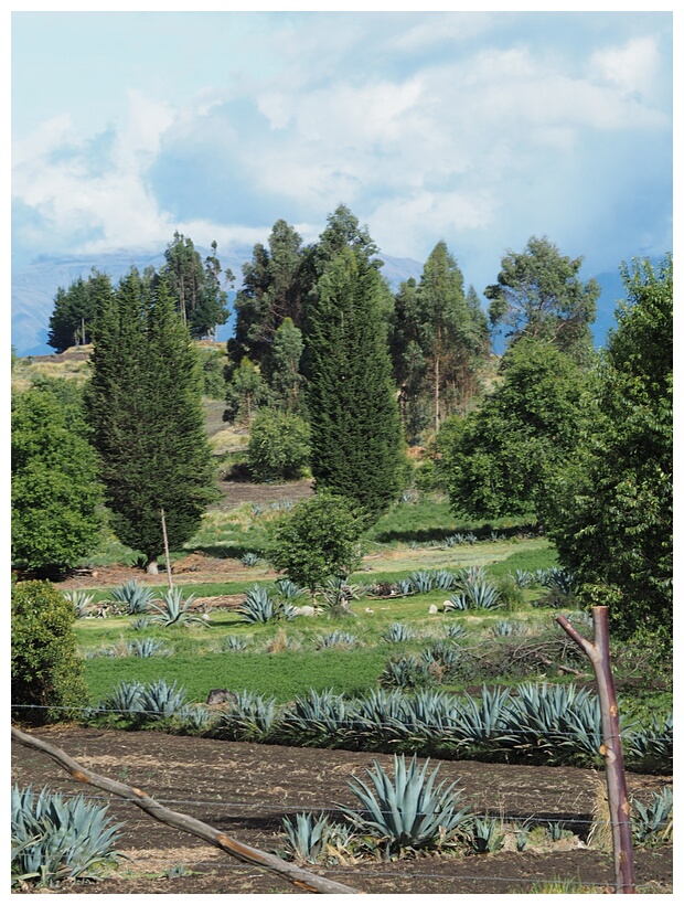 Paisaje Ecuatoriano