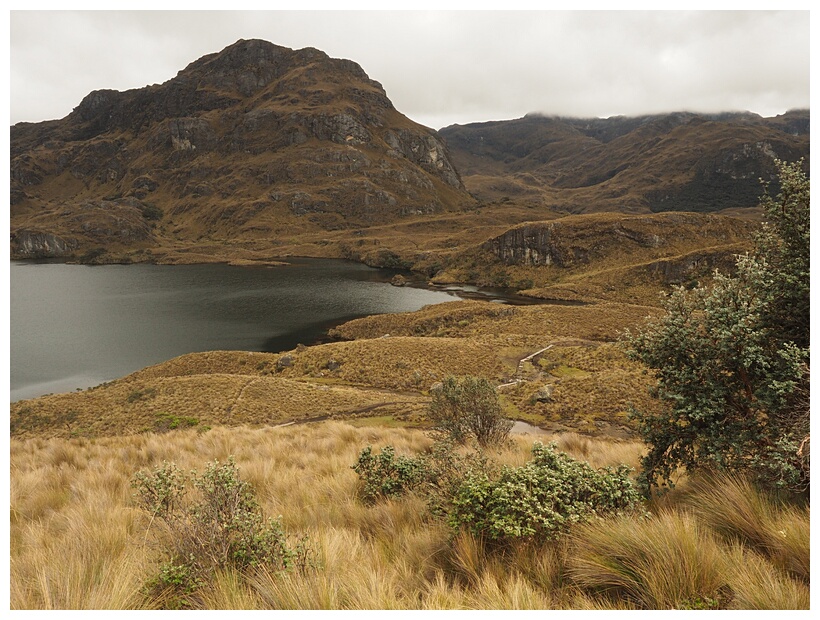 Cajas