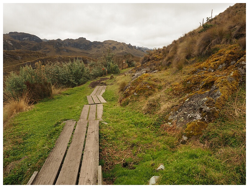 Sendero