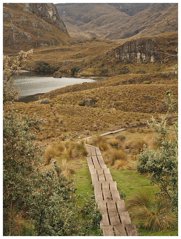 Laguna Toreadora