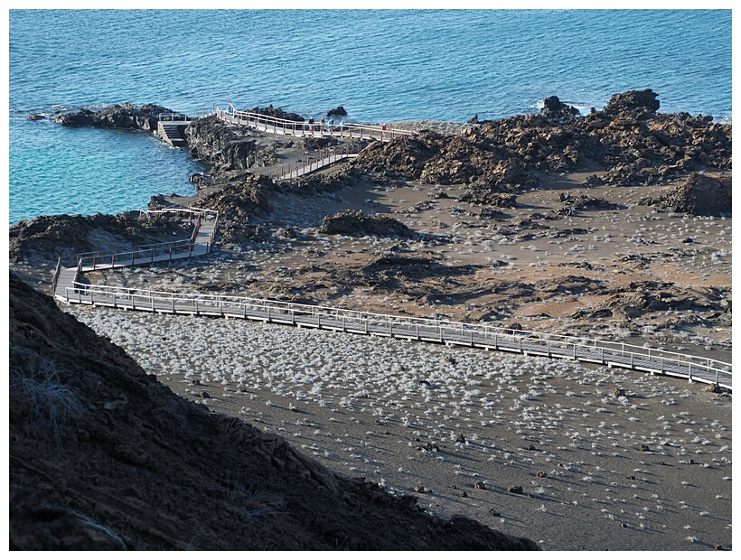 Isla Bartolom