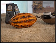Cacao