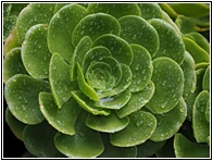 Lluvia