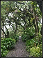 Jardines