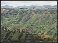 Campo Ecuatoriano