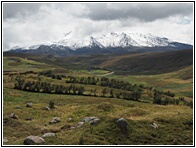 Reserva Faunstica del Chimborazo