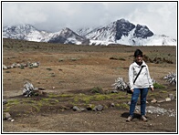 Reserva Faunstica del Chimborazo