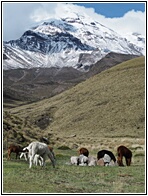 Andes