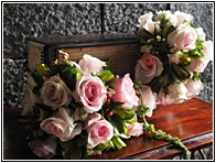 Rosas