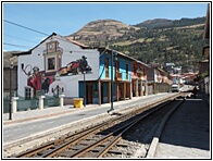 Alaus