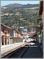 Alaus