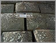 Daos Estructurales