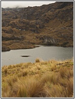 Parque Cajas