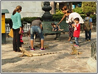 Parque Seminario