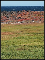Islas Galpagos