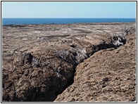 Isla Genovesa