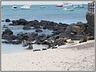 Playa de Oro