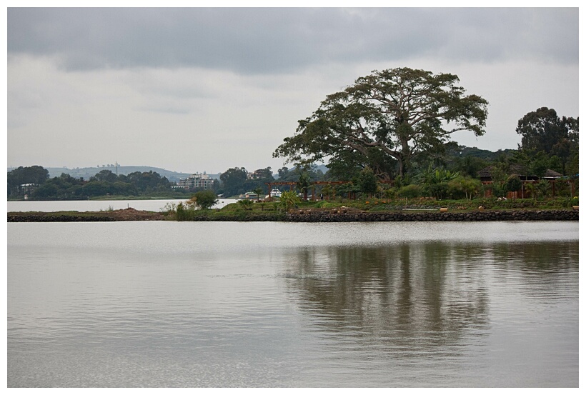 Lake Tana