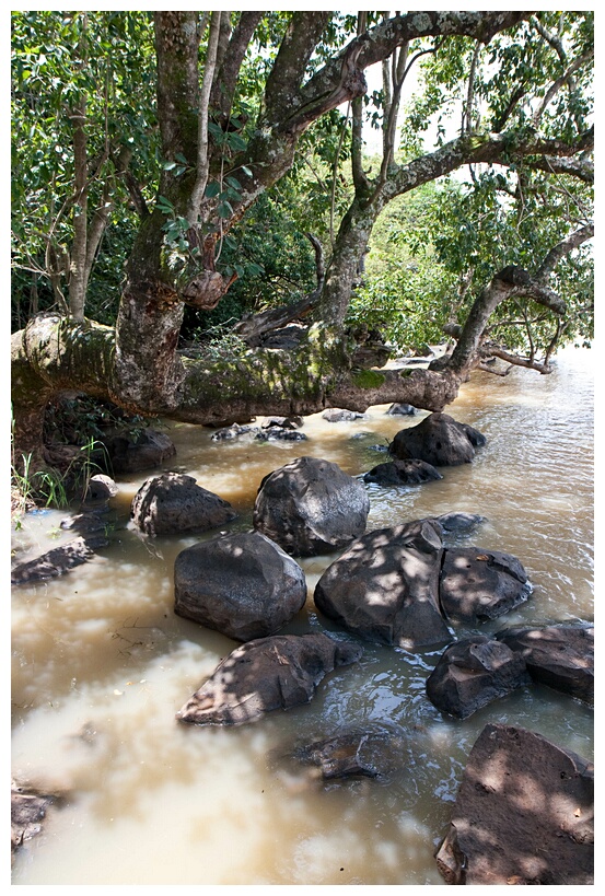 Lake Tana