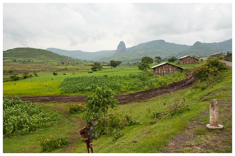 Fertile Land
