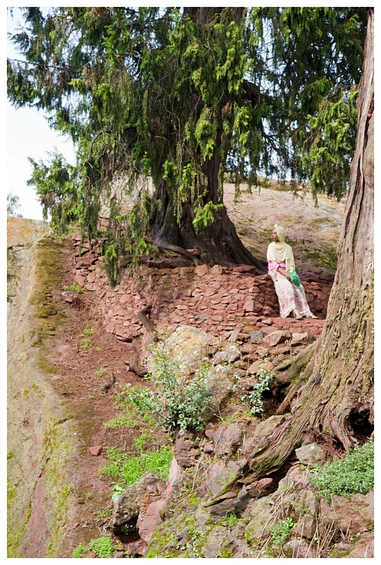 Woman under Tree
