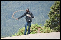 Using a Whip