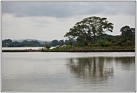Lake Tana