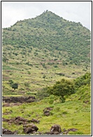 Green Landscape