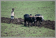 Ploughing