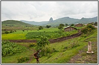 Fertile Land