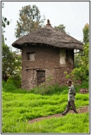 Traditional House
