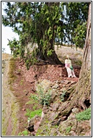 Woman under Tree