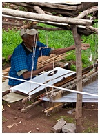 Lalibela Weaver