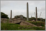 Stelae Field