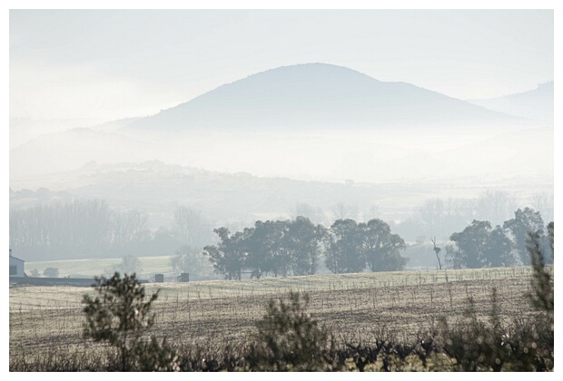 Niebla Matinal