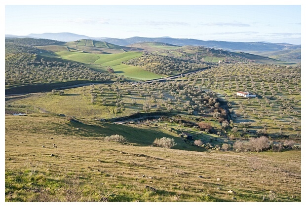 Campos Extremeos