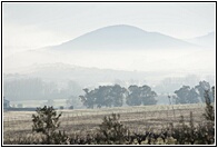 Niebla Matinal