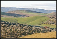 Campos Extremeos