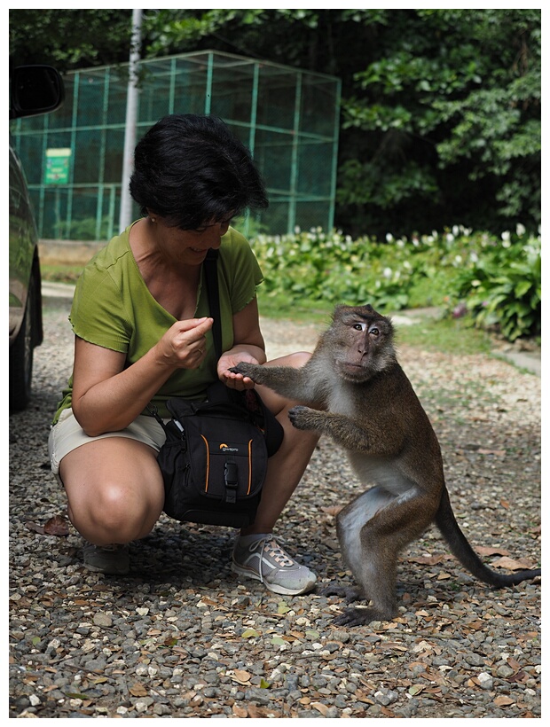 Rajah Sikatuna National Park