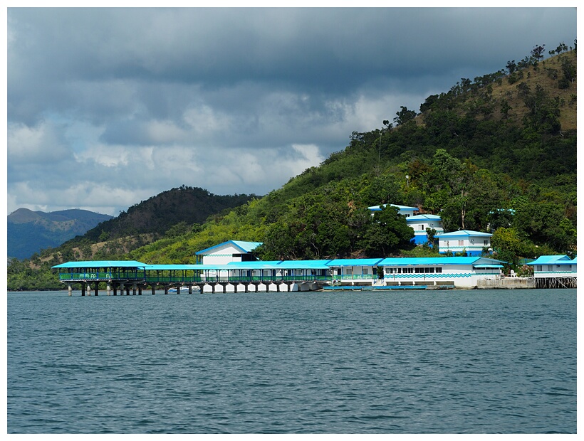 Coron Underwater Garden Resort